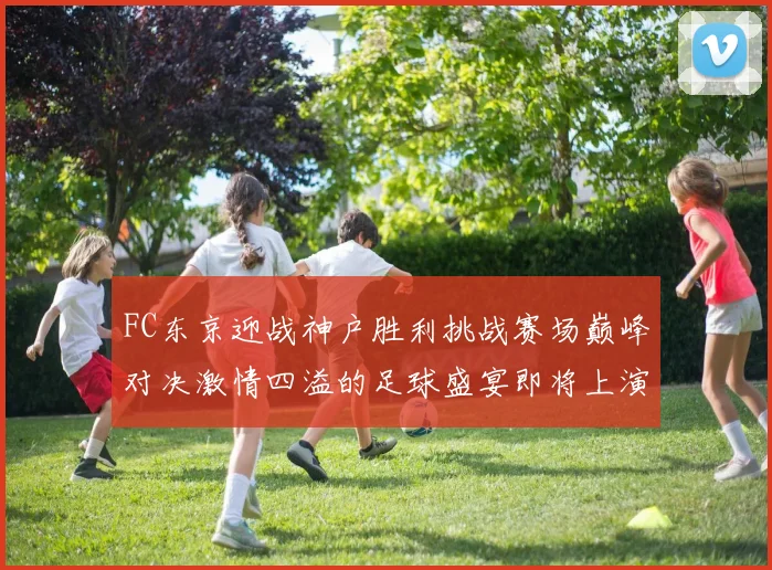 FC东京迎战神户胜利挑战赛场巅峰对决激情四溢的足球盛宴即将上演