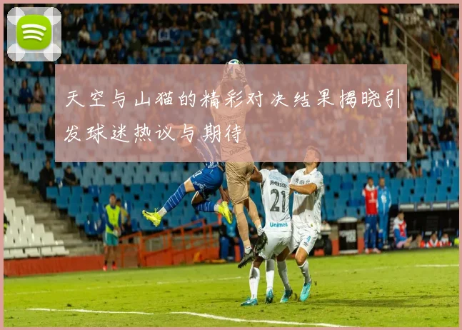 天空与山猫的精彩对决结果揭晓引发球迷热议与期待