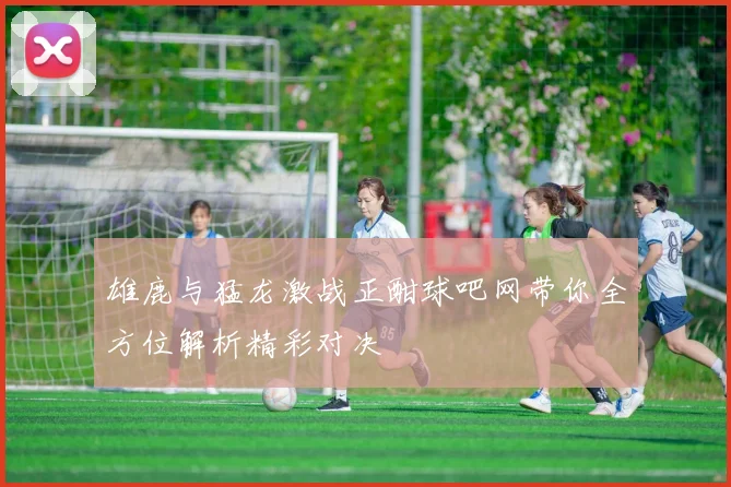 雄鹿与猛龙激战正酣球吧网带你全方位解析精彩对决
