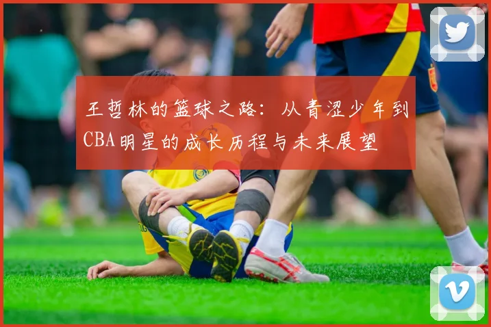 王哲林的篮球之路：从青涩少年到CBA明星的成长历程与未来展望