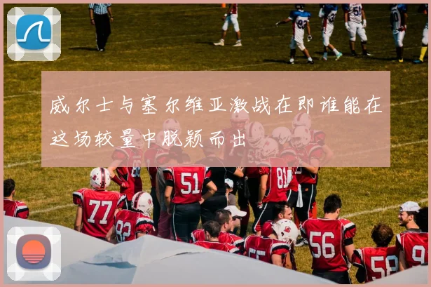 威尔士与塞尔维亚激战在即谁能在这场较量中脱颖而出